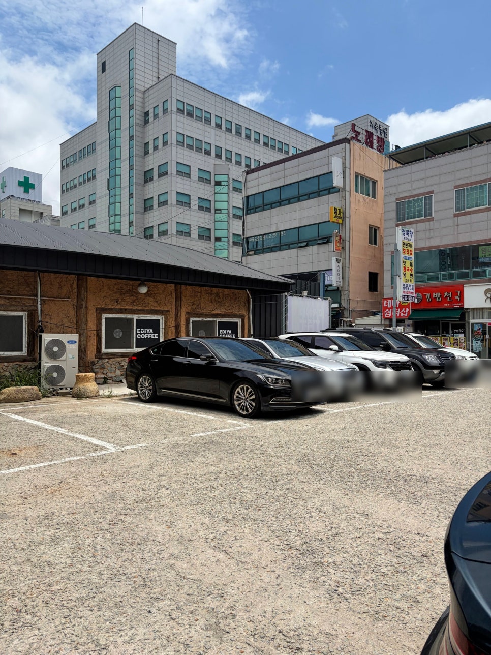 청목향 사진 2