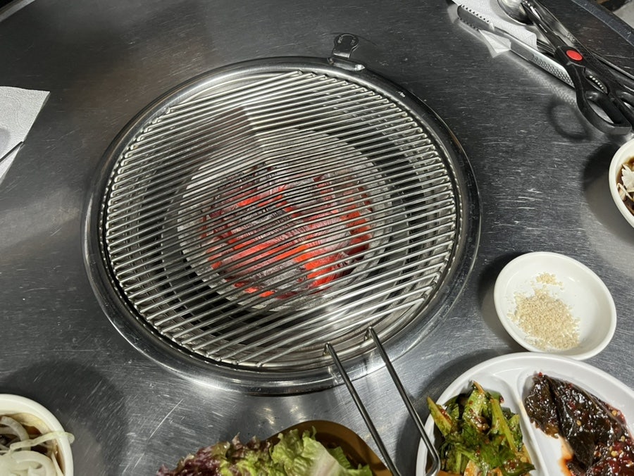 돈돼지 사진 5
