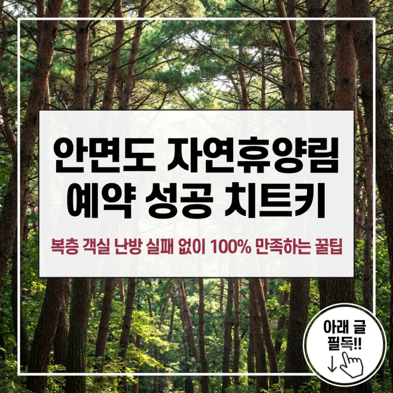 안면도 자연휴양림 예약하기 및 숙소 입장료 수목원 정보 총정리
