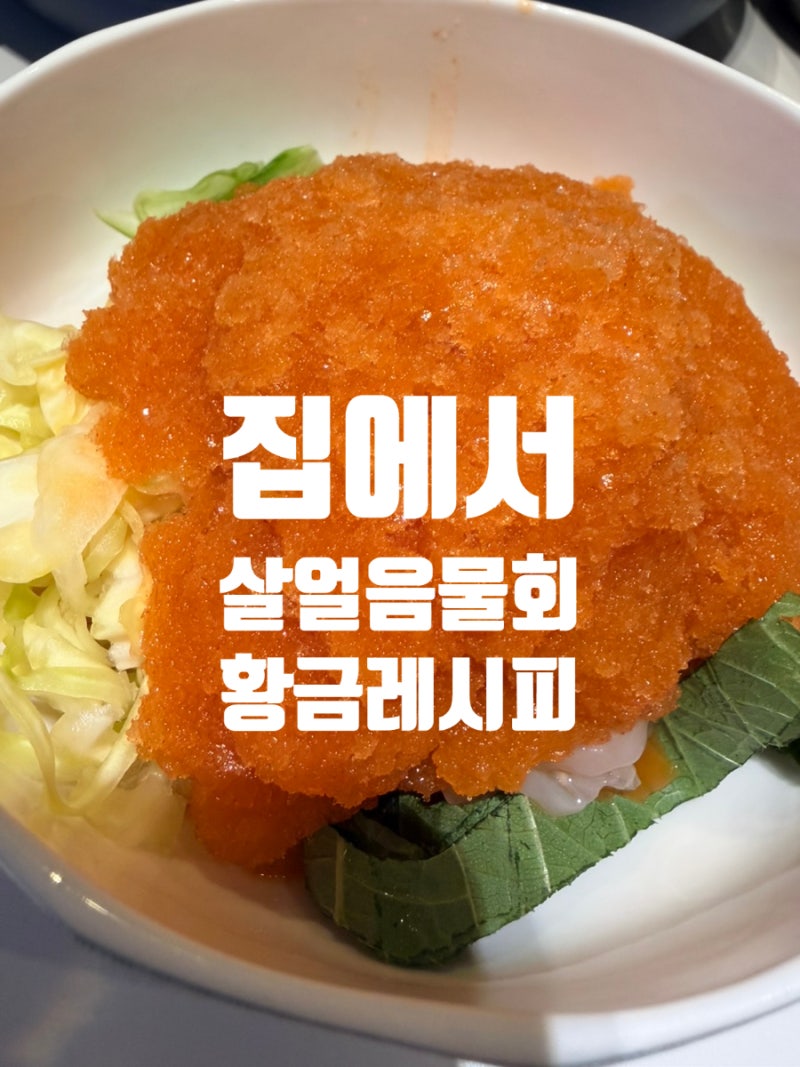 집에서 살얼음 물회 만드는법 초간단 황금레시피 실장님물회소스 내돈내산후기