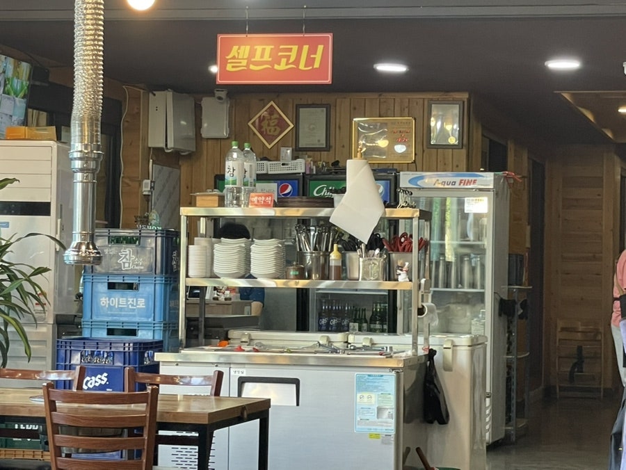 낙동생오리 사진 3