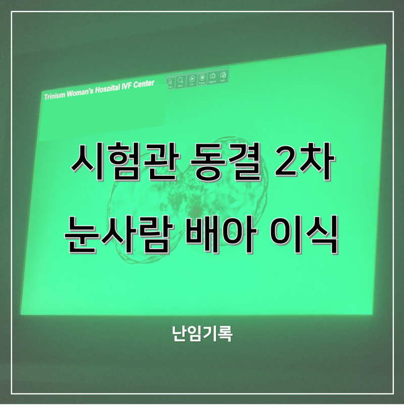임신준비 #04 시험관 동결 2차 눈사람 배아 이식 당일 기록 & 이식 비용 정리 (ft. 트랙토실) / ....