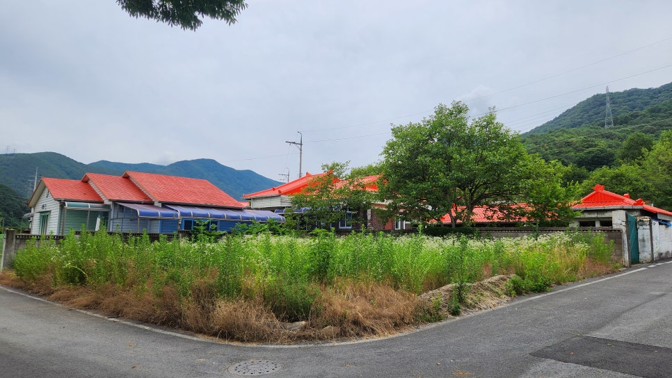 말목산 사진 1