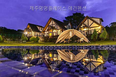 멍멍플레이스 사진 2