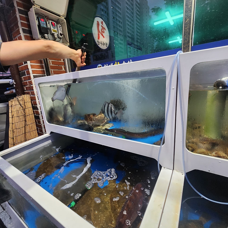 형제회수산 사진 5
