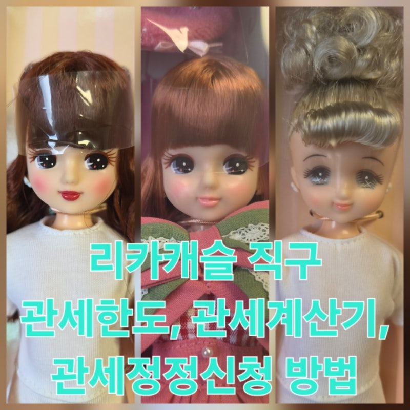 [정보] 관세 폭탄 피하는 법! 해외직구 면세한도와 관세계산기 활용법 및 관세정정신청 방법 ....