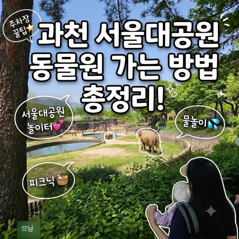 과천 서울대공원 동물원 주차장 총정리 | 코끼리놀이터 식당 계곡 후기