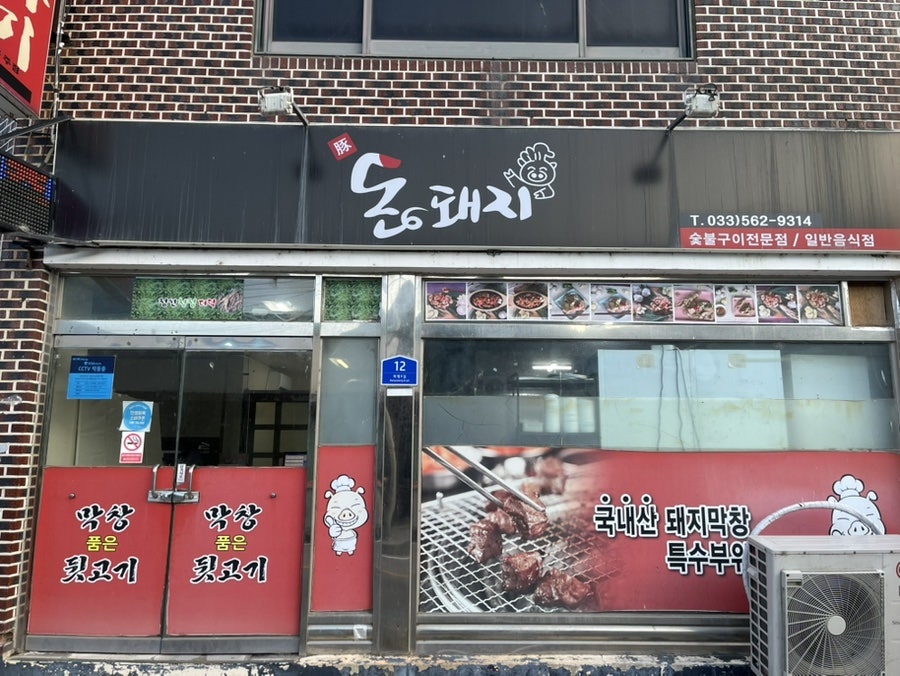 돈돼지 사진 1