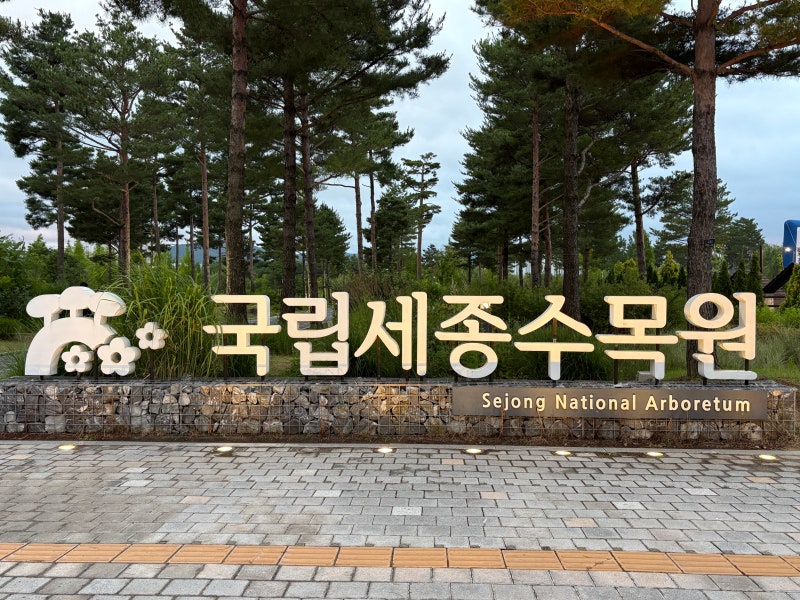 세종 가볼만한 곳 국립세종수목원 야간개장 운영기간부터 주차장, 입장료까지! 낮과 밤 모두....