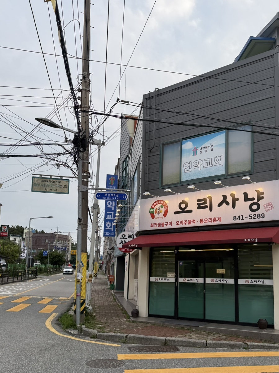 오리사냥 사진 4