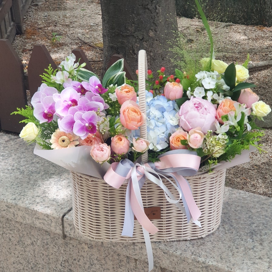 작약 사진 5