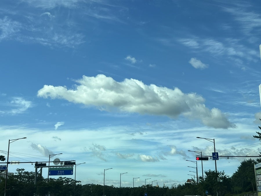 스윗데이즈 사진 1