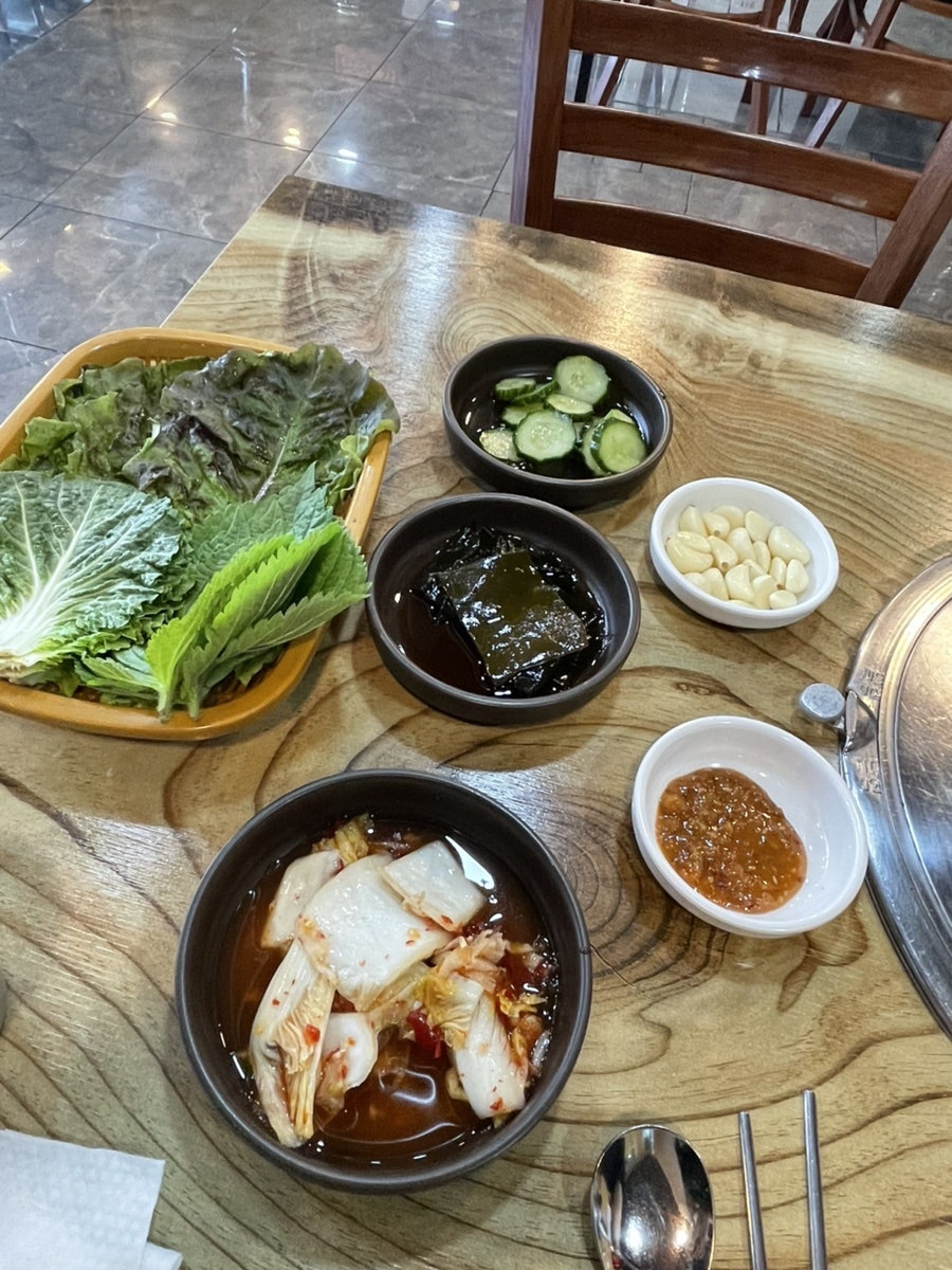 낙동생오리 사진 6