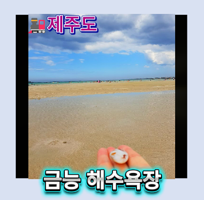 제주 금능 해수욕장 후기｜제주도 아이랑 가기 좋은 제주도가볼만한곳 추천