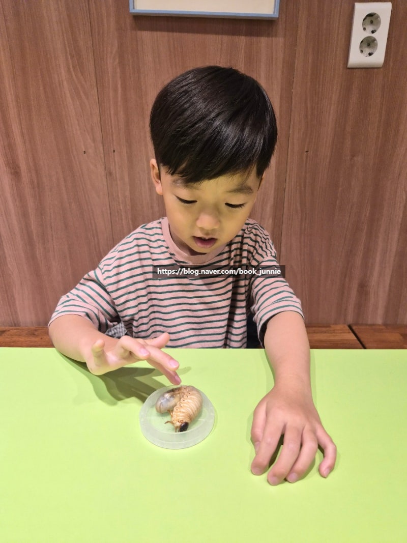 김포 가볼만한곳 곤충러버들 모여라! "김포꿈꾸는파브르"