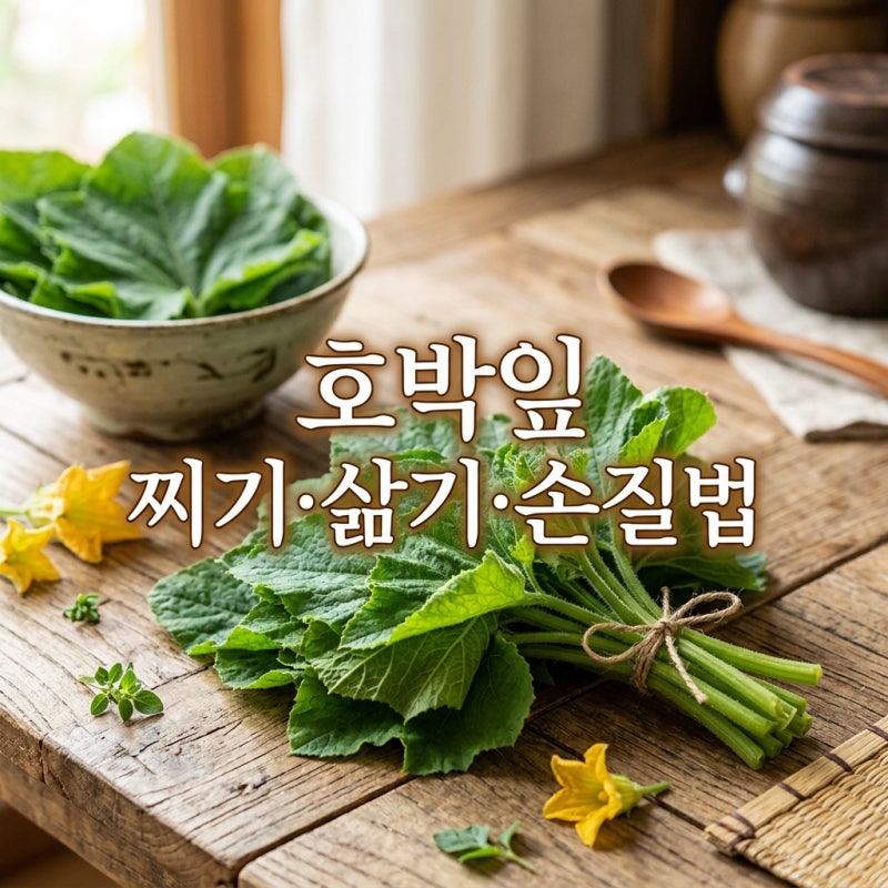 호박잎 찌기·삶기·손질법...2026년 여름, 부드러운 쌈 비법 3가지