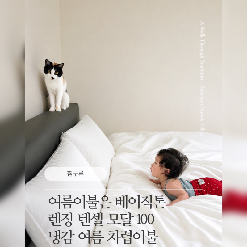 (ᓀ‸ᓂ) [침구류] 여름이불은 시원하게 Basictone "렌징 텐셀 모달 100 냉감 여름 차렵이불"로 준....