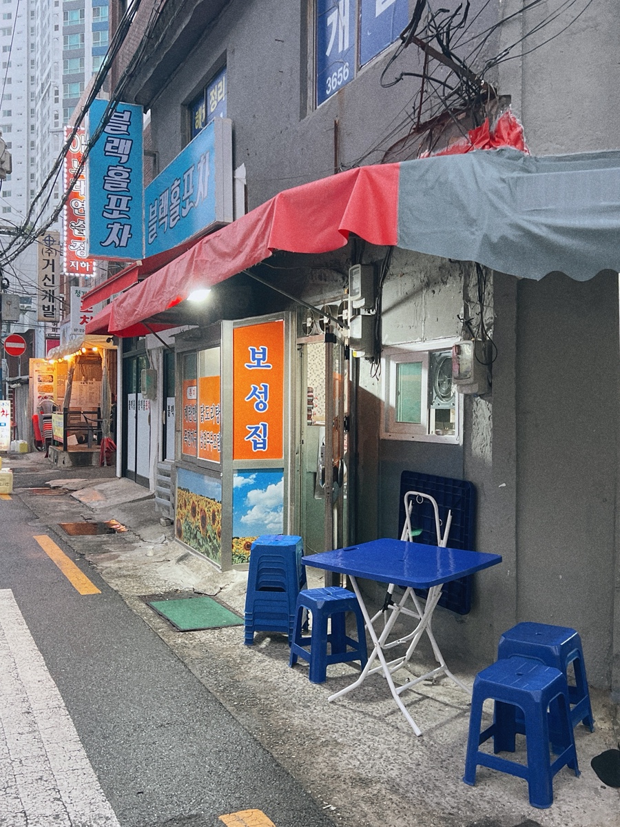 보성집 사진 2