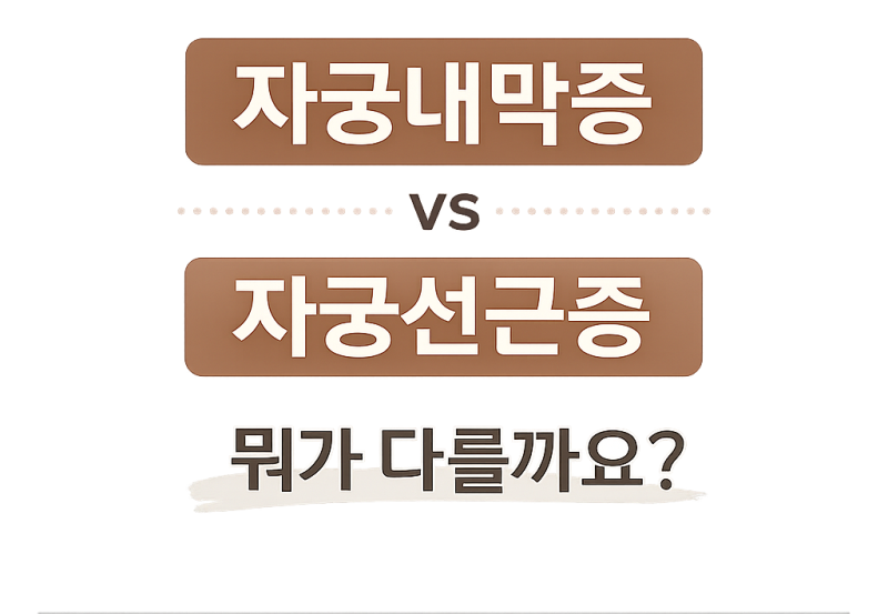 자궁내막증과 자궁선근증 뭐가 다를까요?