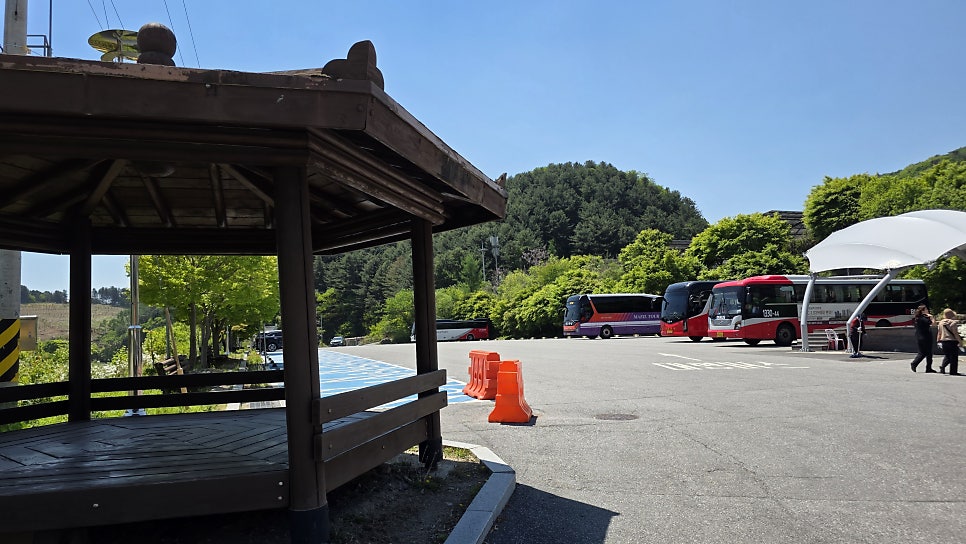 송악산 사진 4