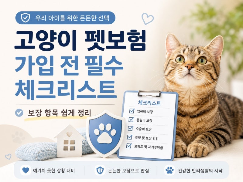 고양이 펫보험 가입 전 필수 체크리스트: 보장 항목 쉽게 정리