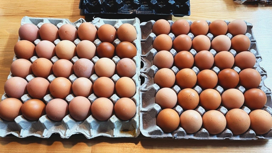 배꽃재맛집 사진 6