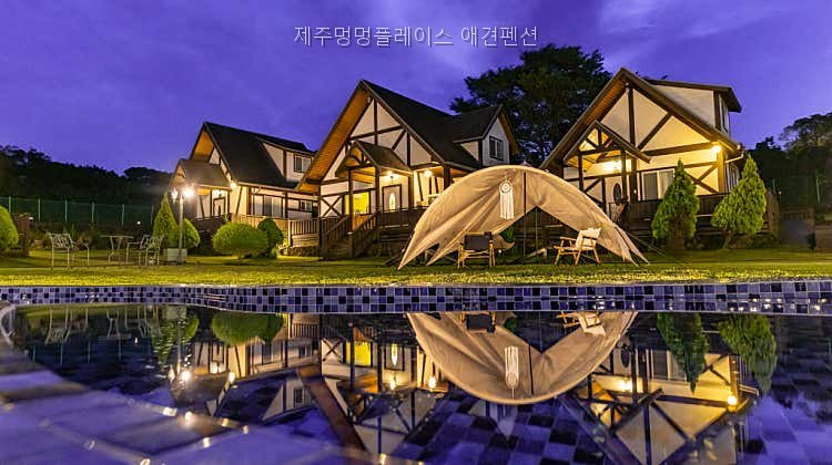 멍멍플레이스 사진 4