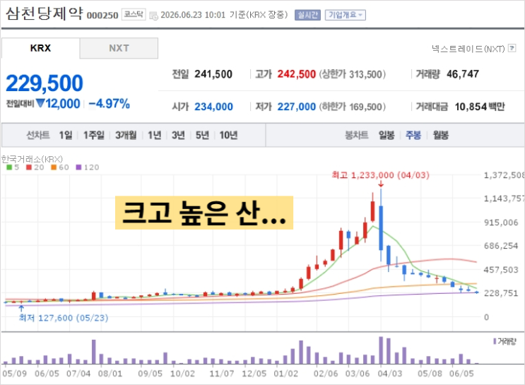 "80% 폭락해도 여전히 비싸다" <b>삼천당제약</b> 아직도 무서운 이유