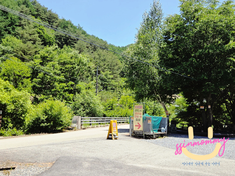 원주산노리캠핑장 사진 2