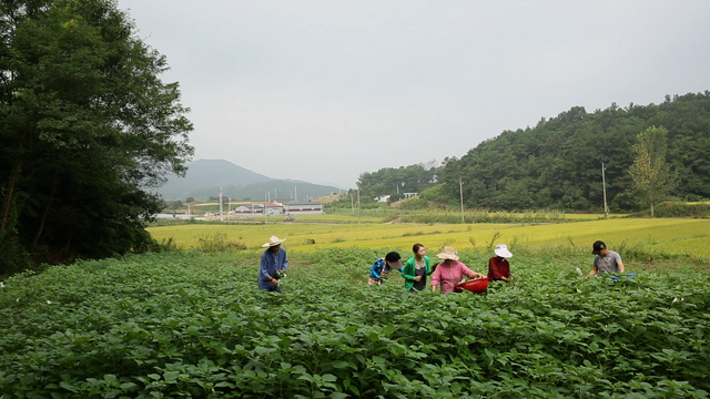 송선담 사진 6
