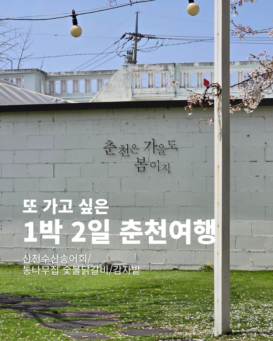 산천수산송어회 사진 1