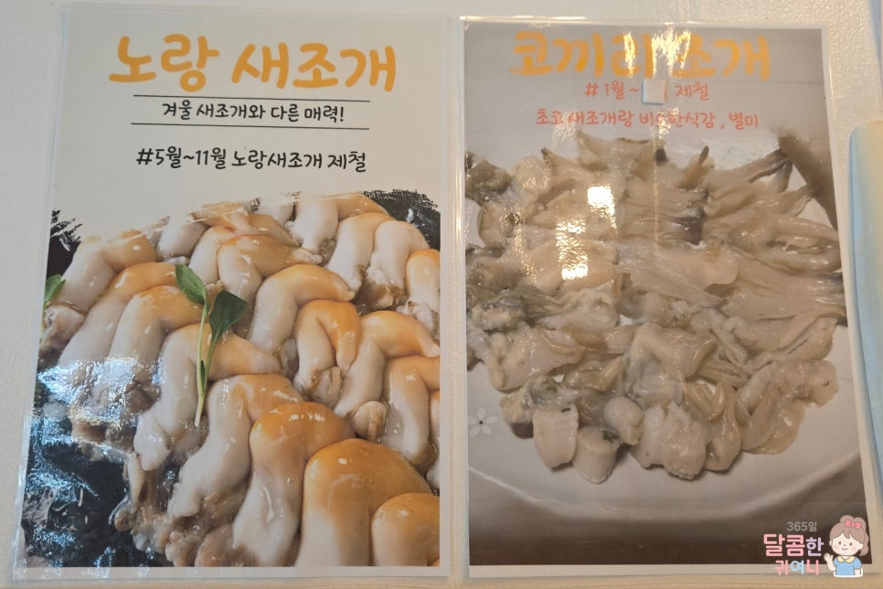 완도횟집 새조개하모샤브샤브맛집 인천석남점 사진 4