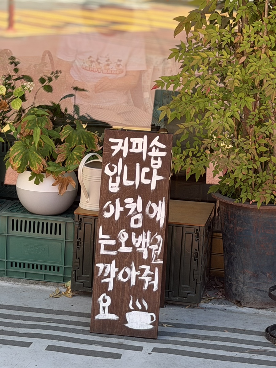 고등어코코아 사진 4