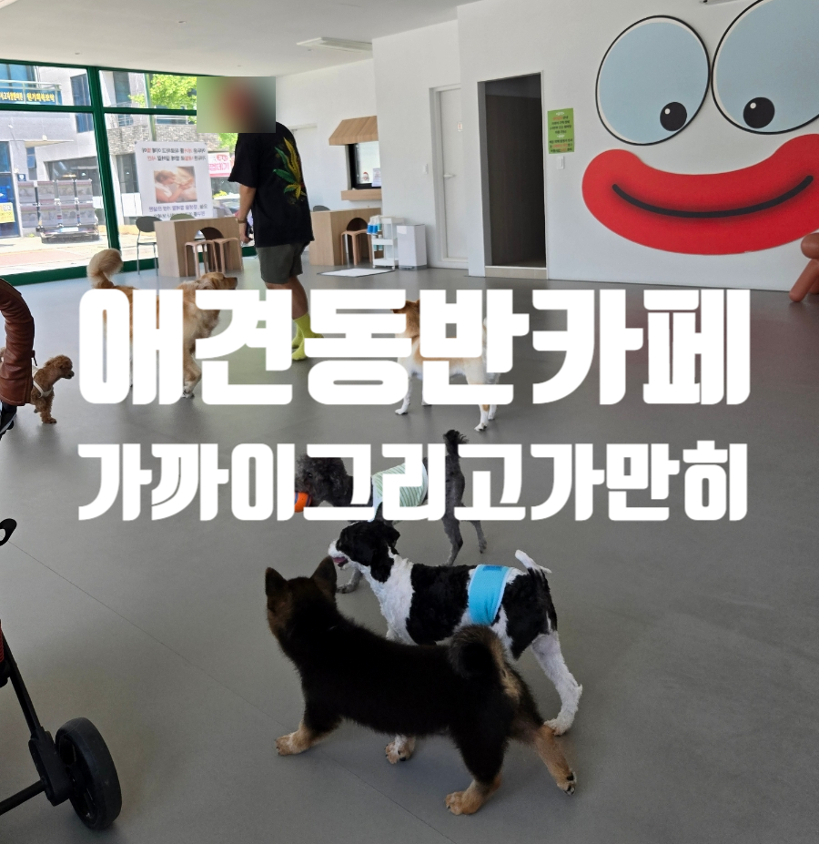 가까이그리고가만히 사진 1