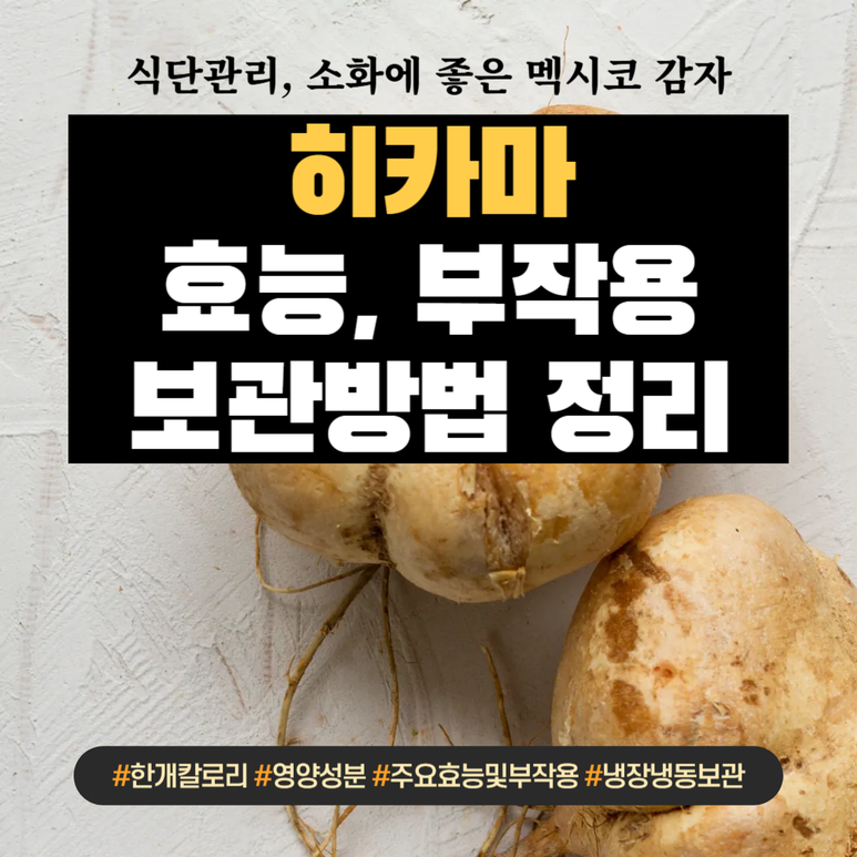 히카마 멕시코감자 효능 부작용 및 먹는법