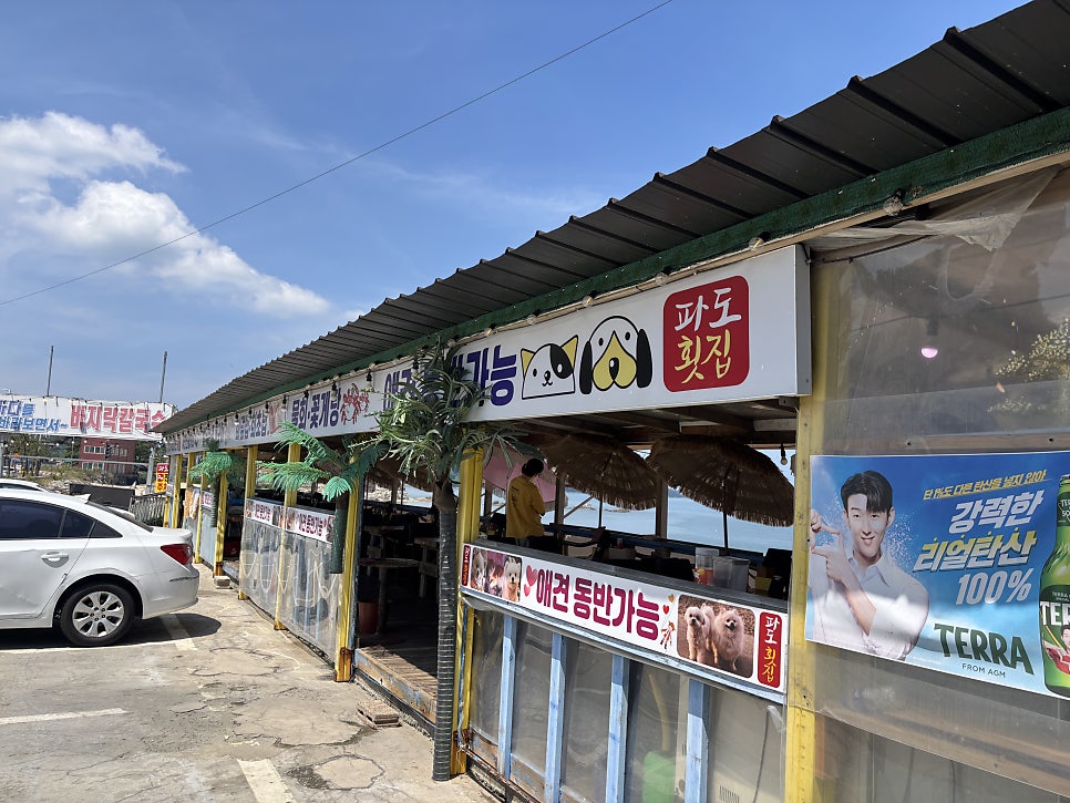 파도횟집 사진 3