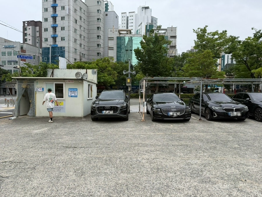 손영환비빔국수 본점 사진 3