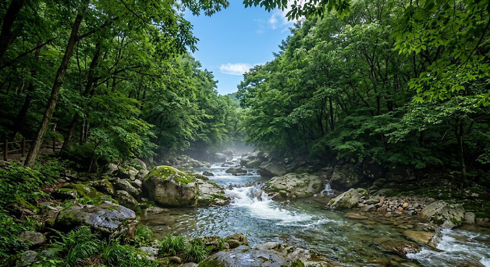 서대산 약용 자연 휴양림 사진 1