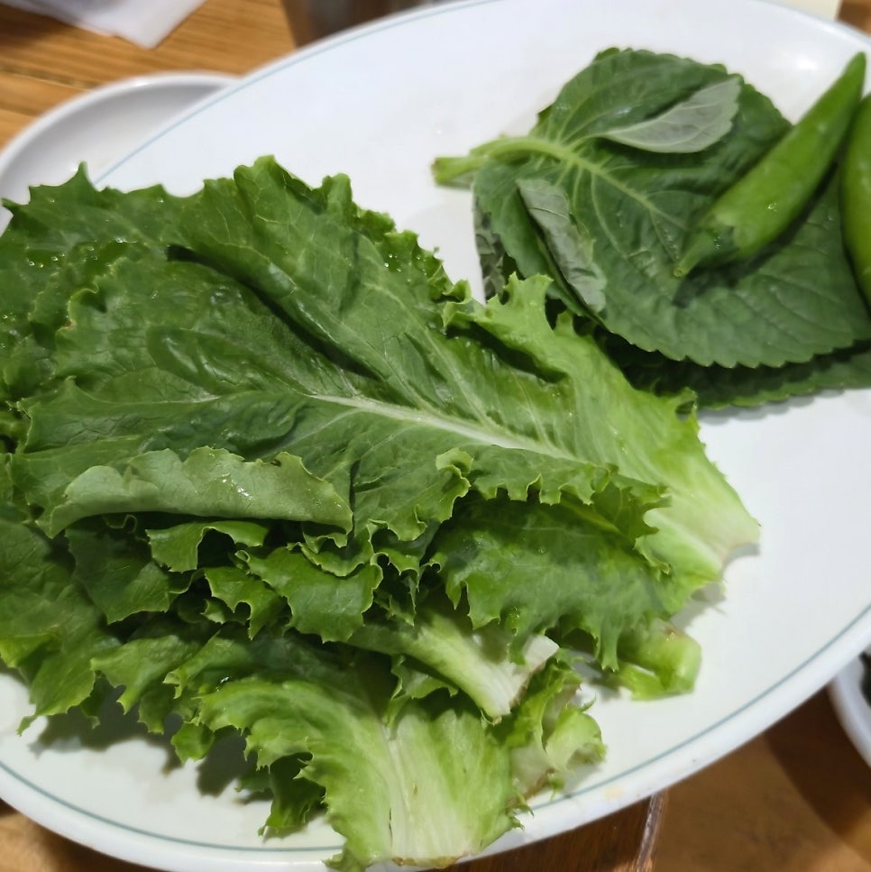 화심장어 아중점 사진 6