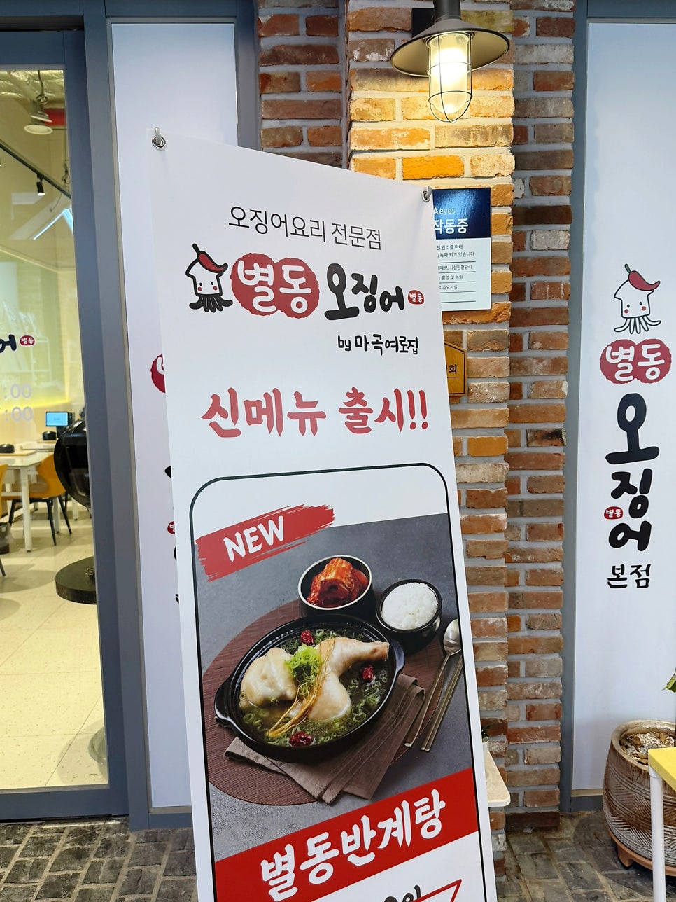 별동오징어 사진 2