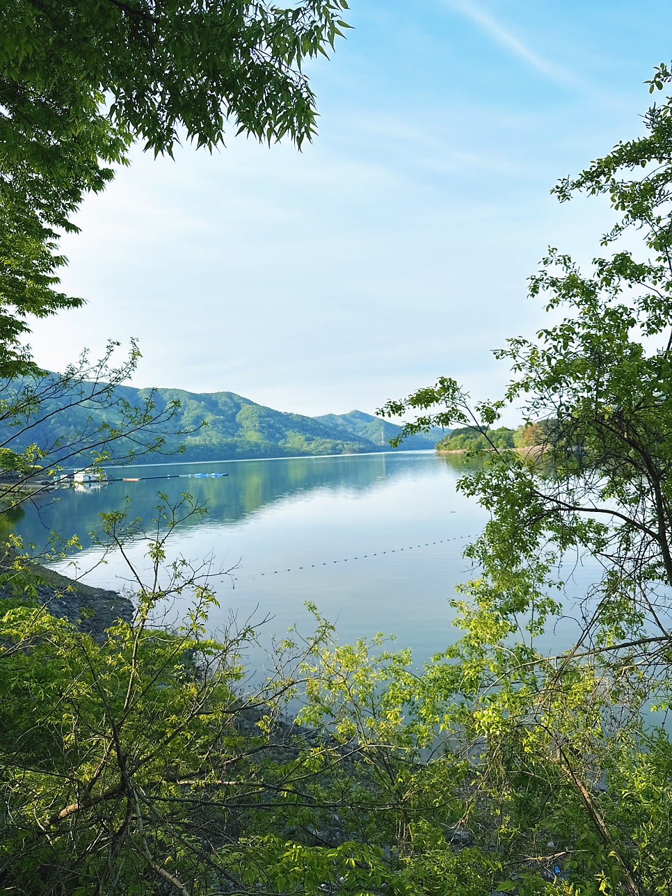 서른두달 사진 5