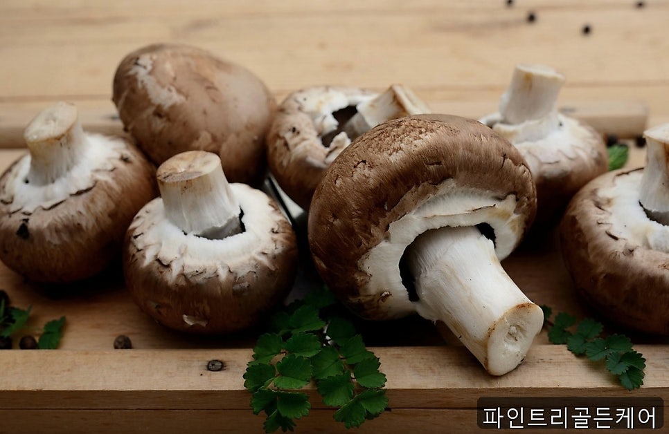 파인트리골든케어 사진 3