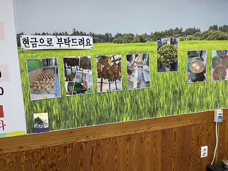 아줌마손칼국수 사진 3