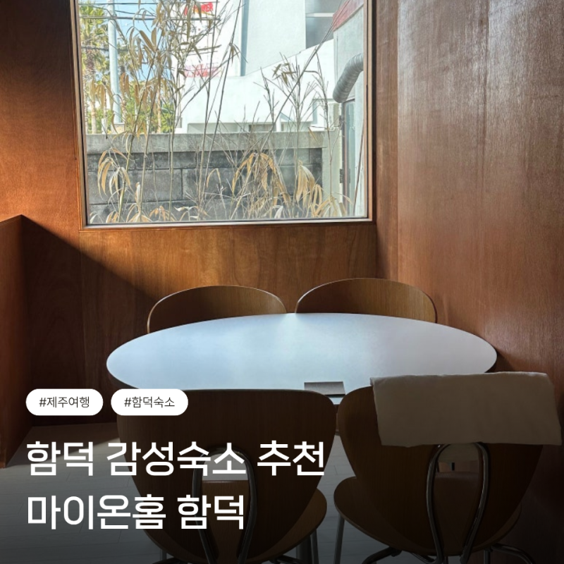 [제주도] 제주 함덕 감성숙소 마이온홈 함덕 독채 숙소 후기 위치 주차 함덕해변 5분거리