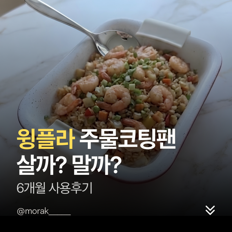 윙플라 주물코팅팬 살까 말까 고민하는 분만 보세요. "다시 산다면 전…"