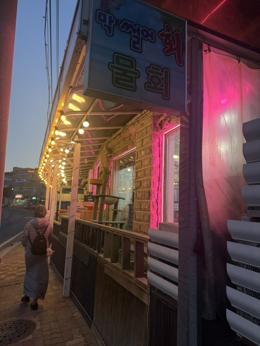 어달막썰어 사진 2