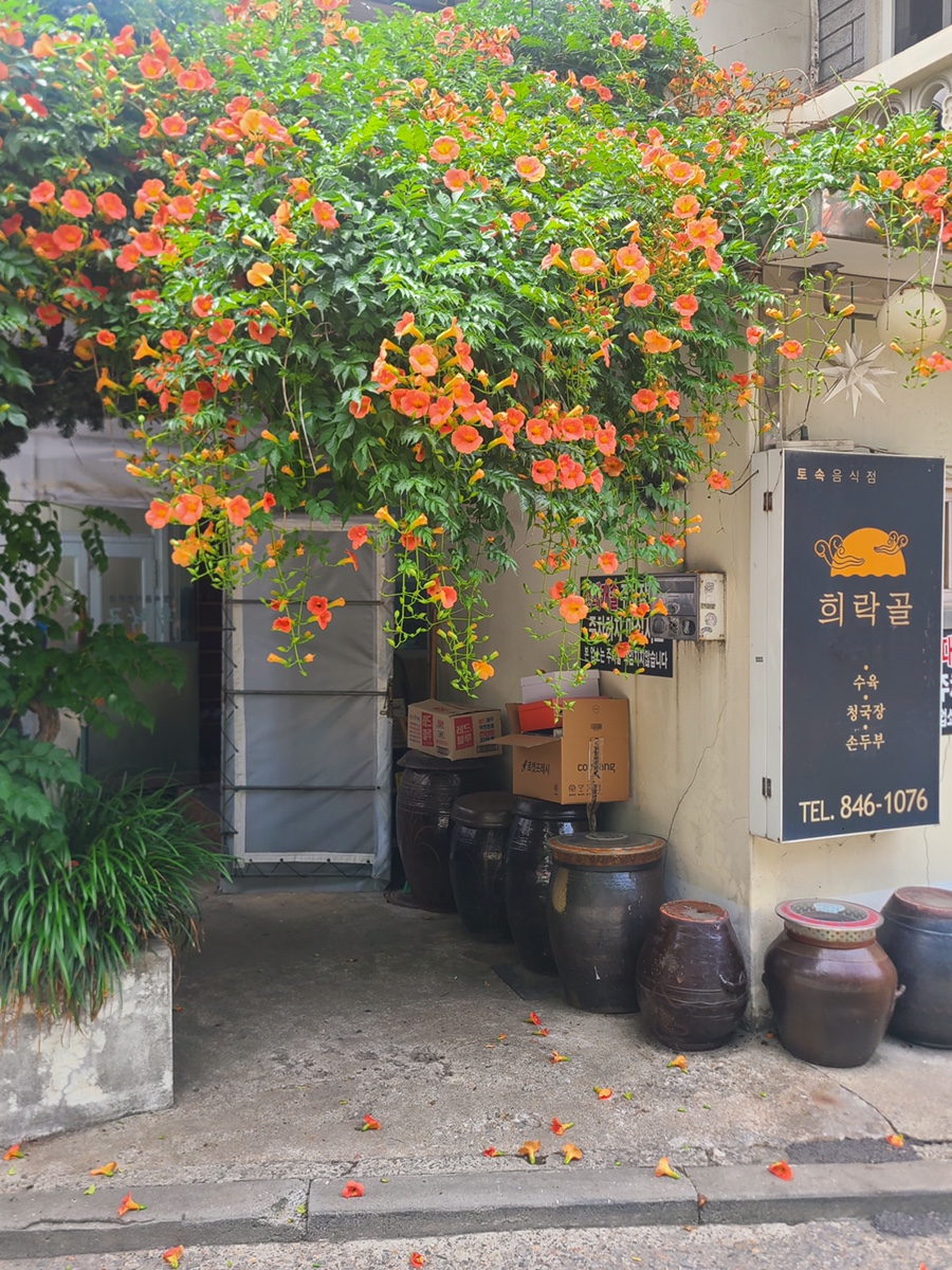 희락골 사진 1