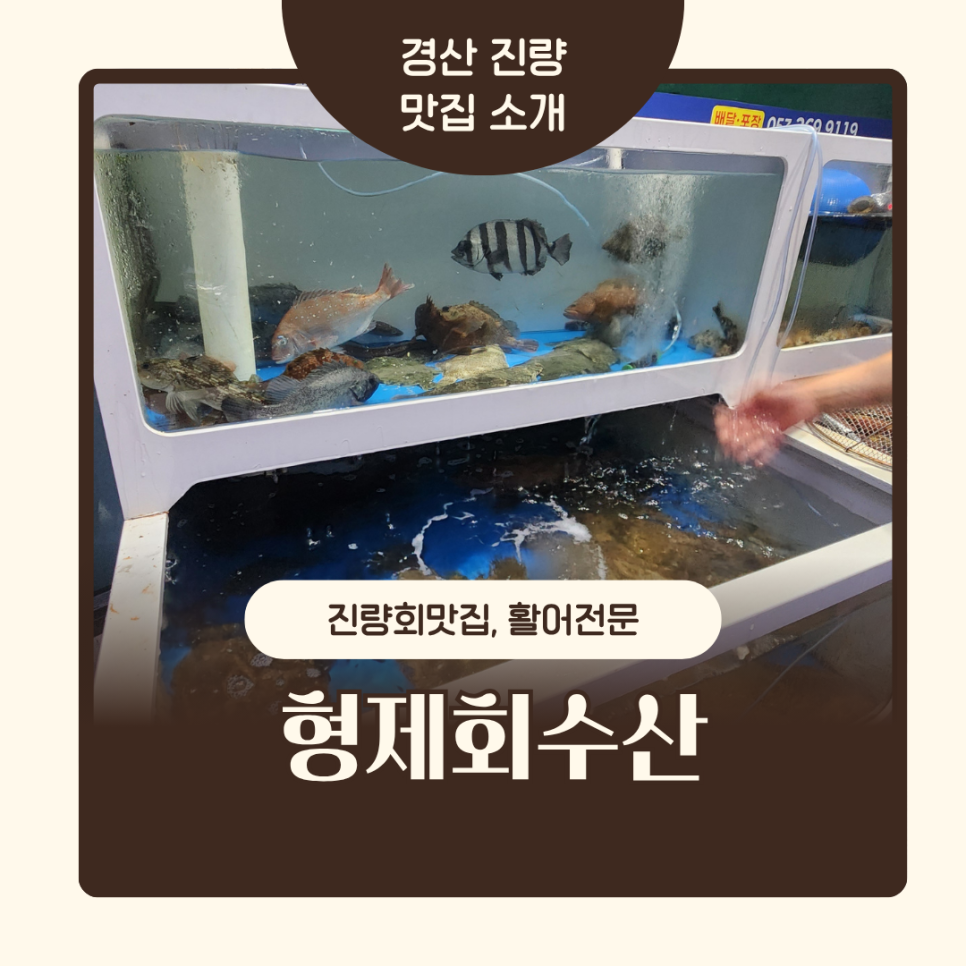형제회수산 사진 1