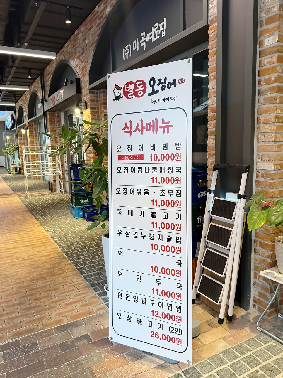 별동오징어 사진 3