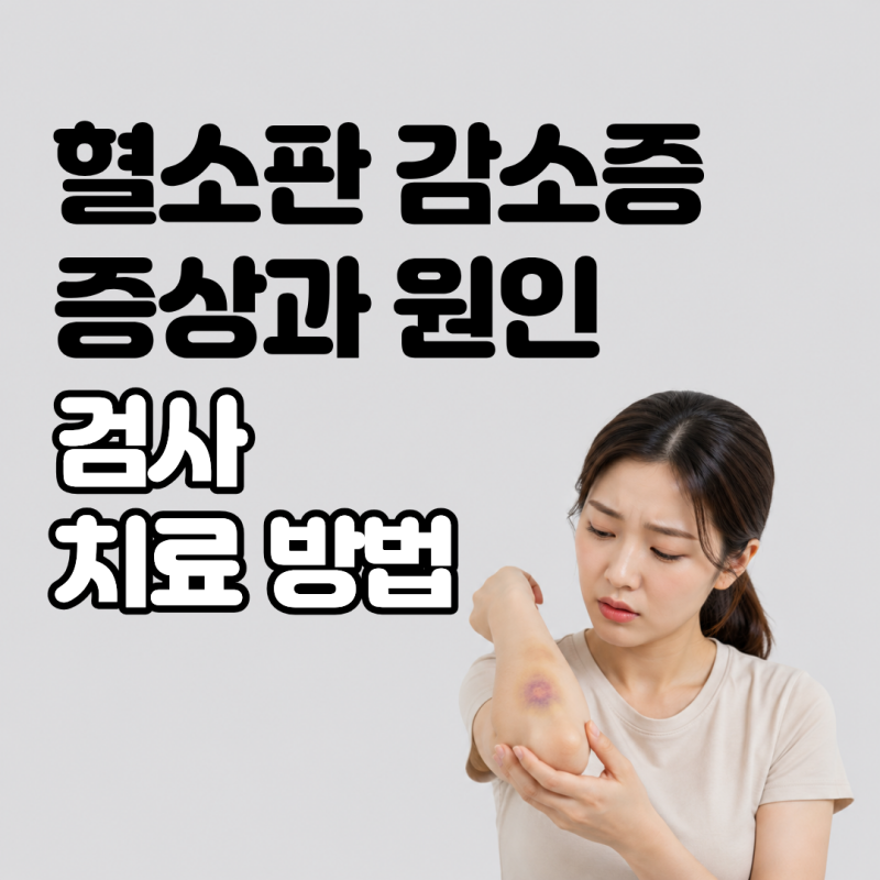 이유없이 갑자기 드는 멍, 방치하면 위험한 혈소판감소증 주요 증상과 원인별 치료 방법